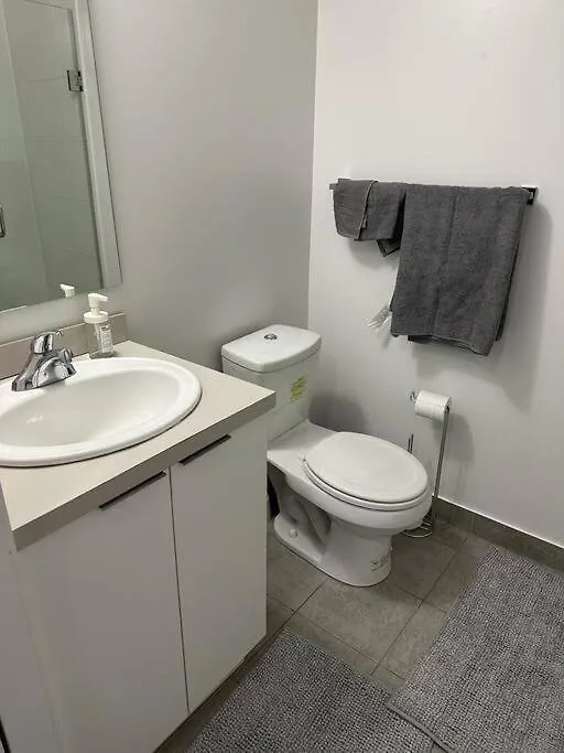 Apartment Modern, Spacious And Sleek Condo Toronto